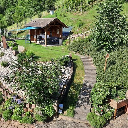 Chambres D'Hotes "Au Val Sejour" Alsace Saint-Martin  Exterior photo
