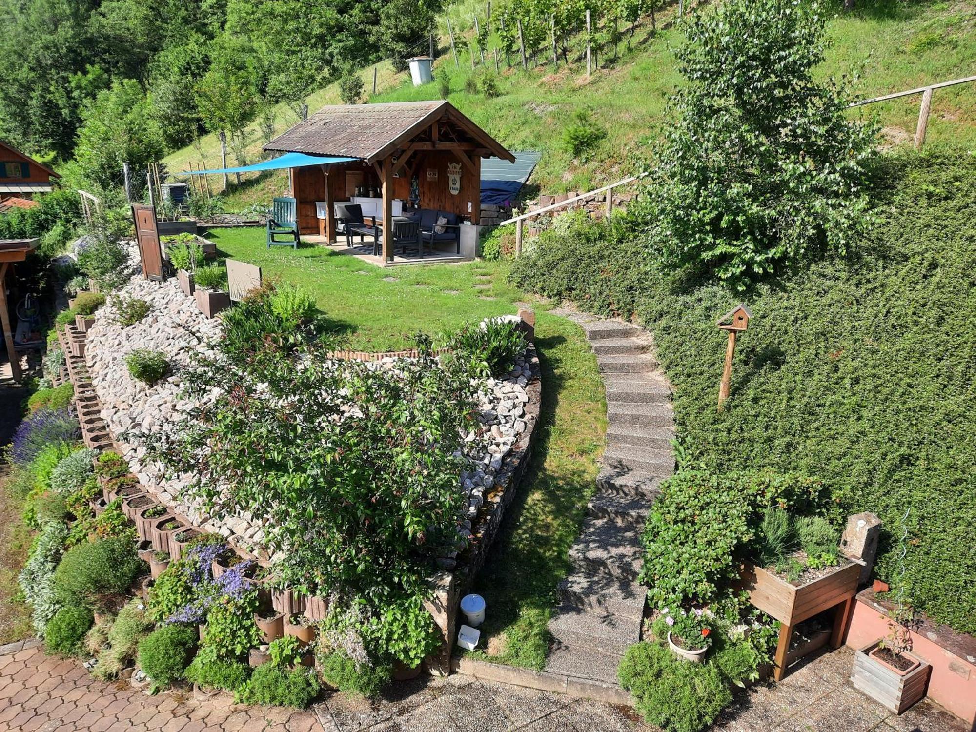 Chambres D'Hotes "Au Val Sejour" Alsace Saint-Martin  Exterior photo