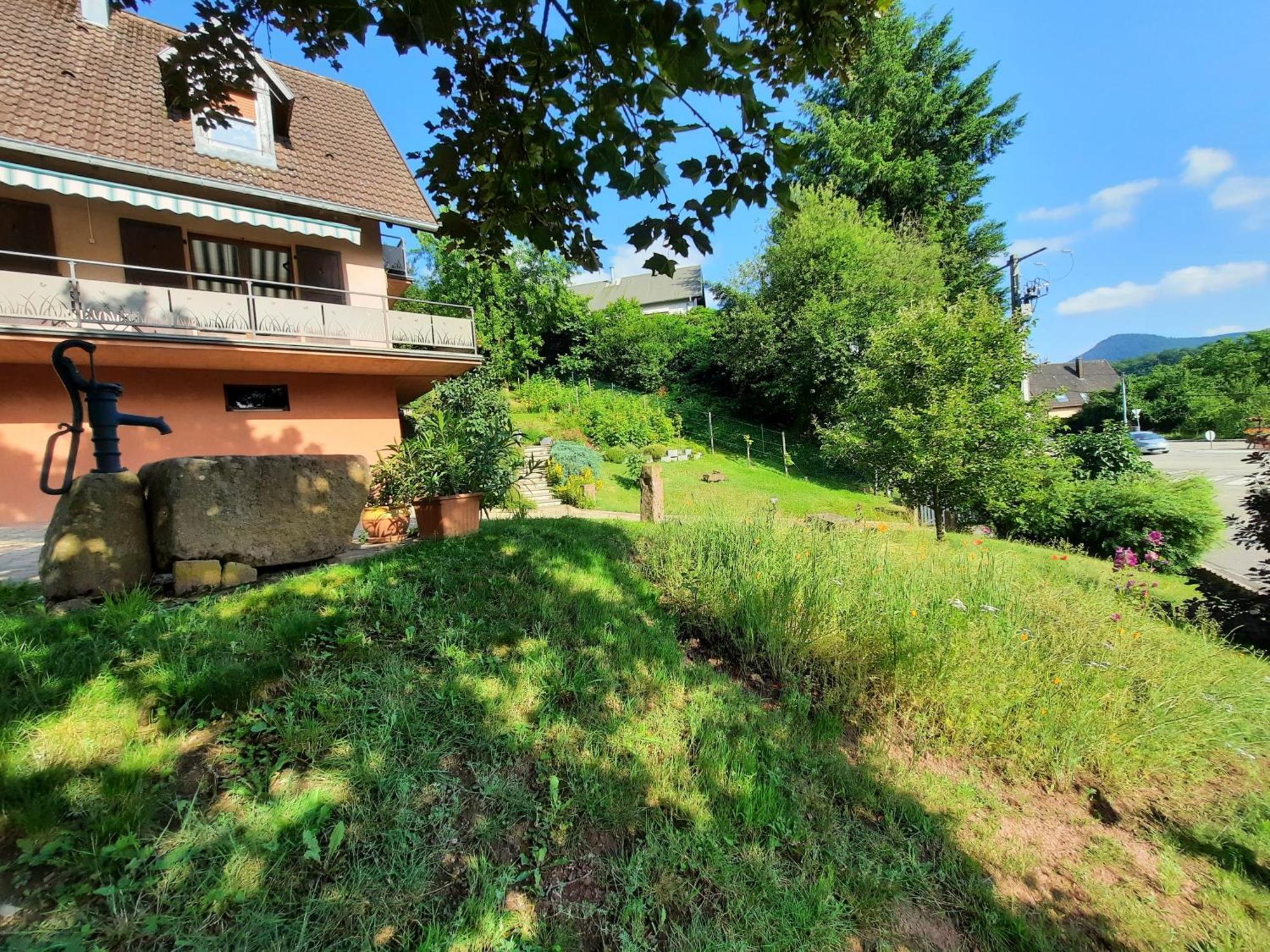 Chambres D'Hotes "Au Val Sejour" Alsace Saint-Martin  Exterior photo