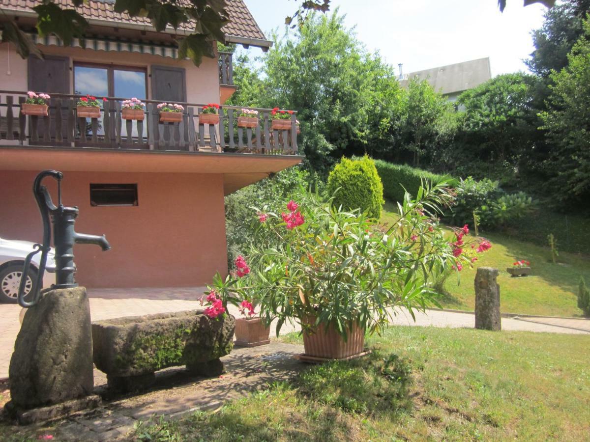 Chambres D'Hotes "Au Val Sejour" Alsace Saint-Martin  Exterior photo